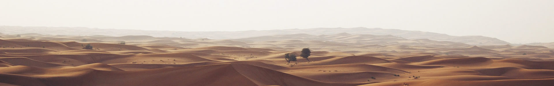 ¹Ƽ޹˾